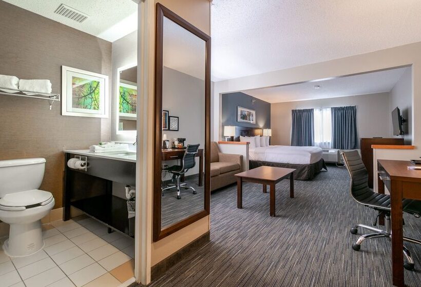 اتاق دلوکس مخصوص معلولین, Wingate By Wyndham Great Falls