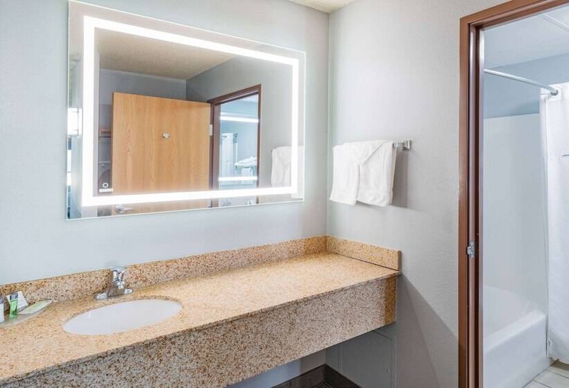 Deluxe Room Adapted for Disabled, Americinn By Wyndham Sayre