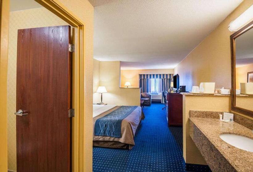 Suite Cama King, Comfort Inn And Suites North East