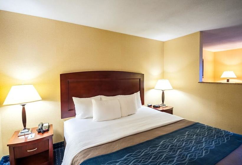 سوییت, Comfort Inn & Suites