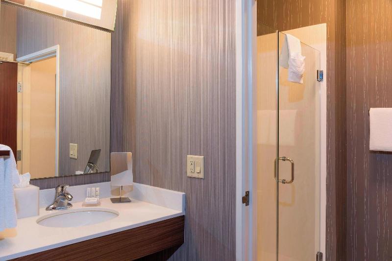 اتاق استاندارد با تخت بزرگ, Courtyard By Marriott Traverse City