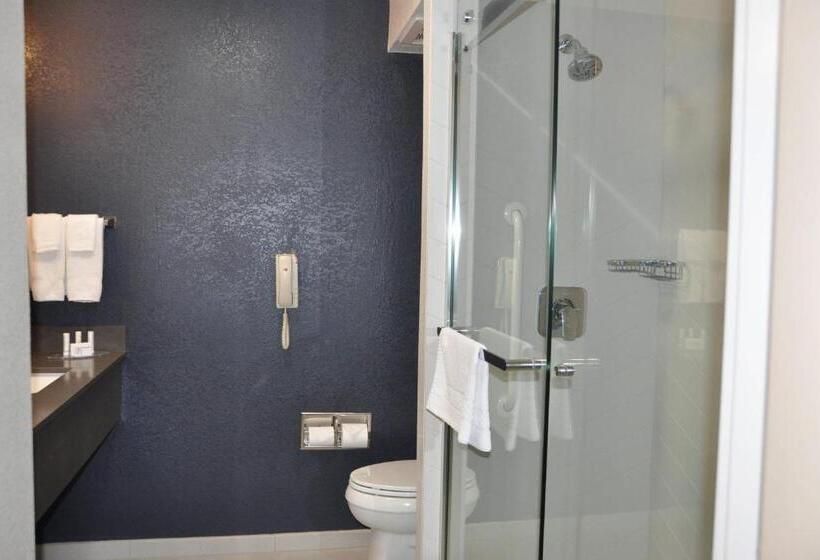 اتاق استاندارد با تخت بزرگ, Fairfield Inn & Suites Ukiah Mendocino County