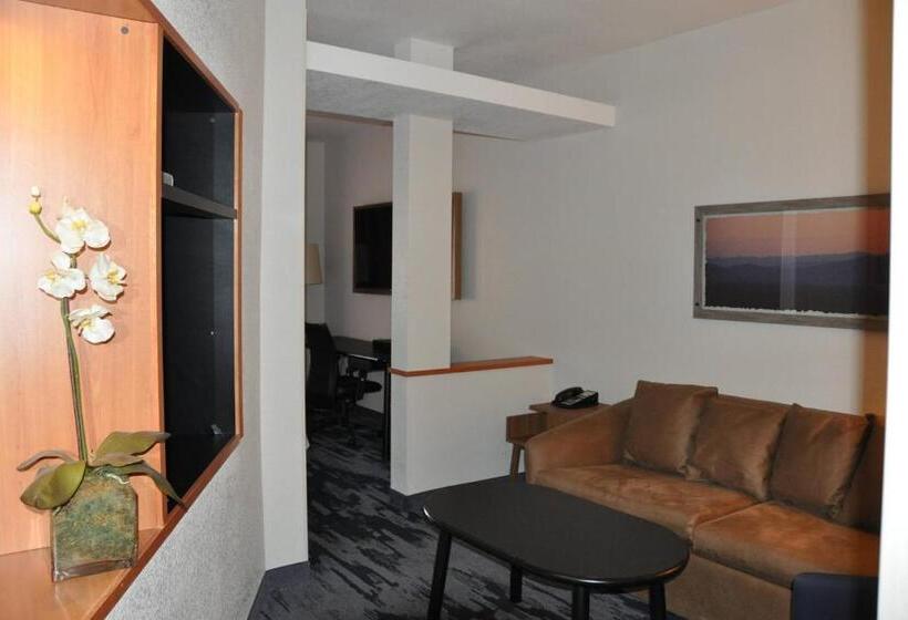 استودیو استاندارد با تخت کینگ, Fairfield Inn & Suites Ukiah Mendocino County