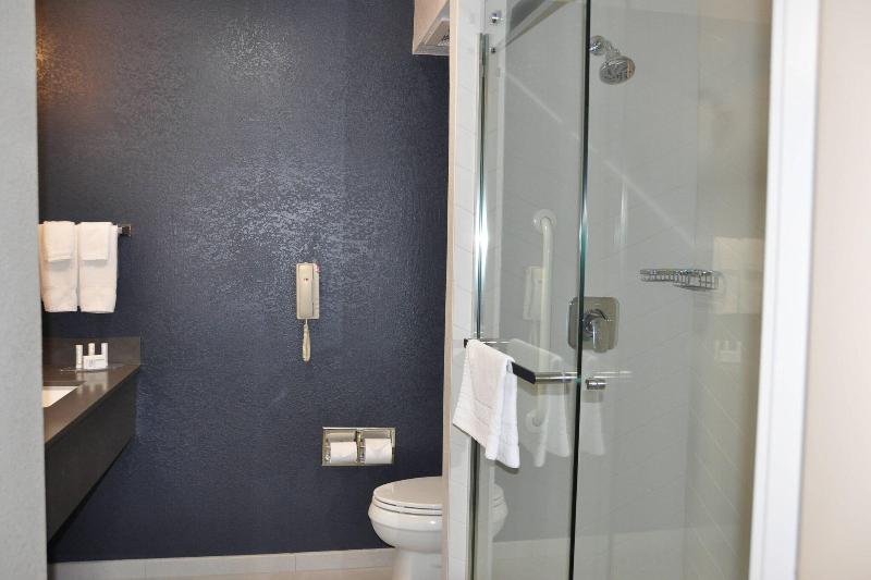 اتاق استاندارد با تخت بزرگ, Fairfield Inn & Suites Ukiah Mendocino County