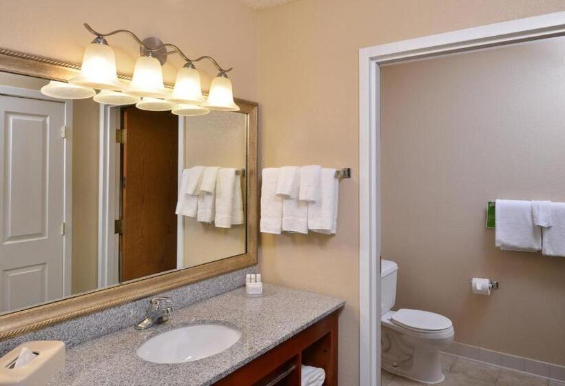 استودیو استاندارد با تخت کینگ, Towneplace Suites Detroit Warren