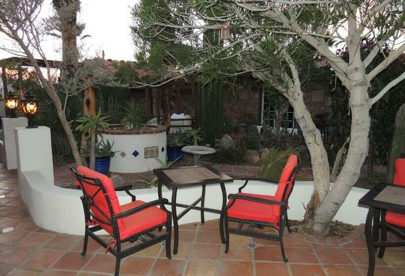 اتاق استاندارد با تخت بزرگ, Tuscan Springs Hotel & Spa