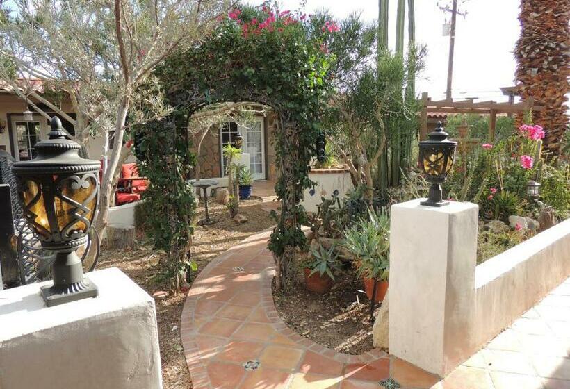 اتاق استاندارد با تخت بزرگ, Tuscan Springs Hotel & Spa