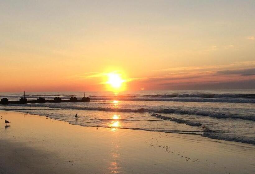 استودیوی استاندارد, Acacia Beachfront Resort