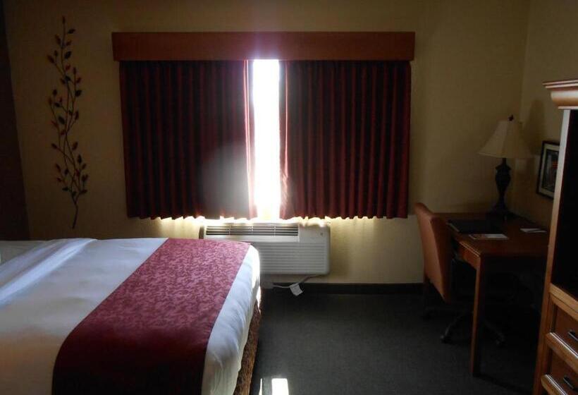 Chambre Standard Lit King Size, Americinn By Wyndham Mcalester