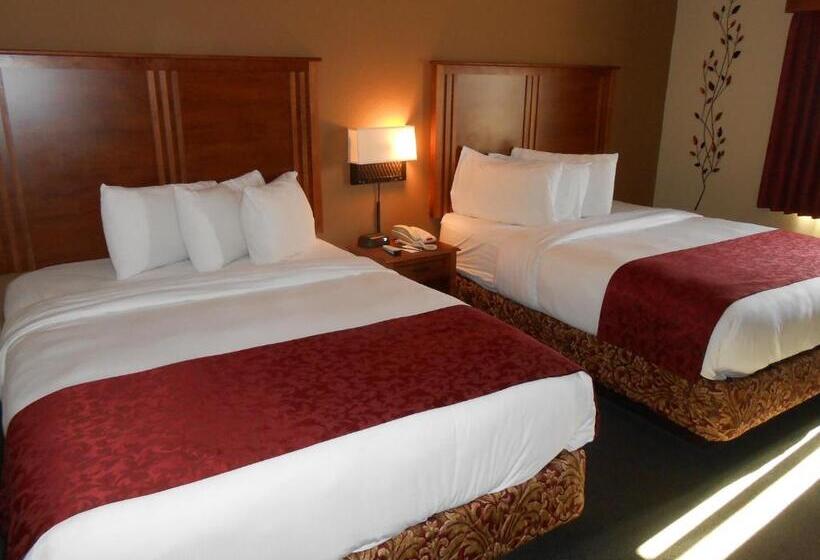 Chambre Standard Adaptée aux Personnes à Mobilité Réduite, Americinn By Wyndham Mcalester