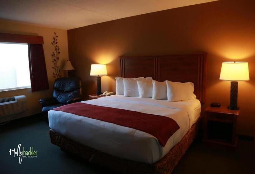 Chambre Standard Lit King Size Adaptée aux Personnes à Mobilité Réduite, Americinn By Wyndham Mcalester