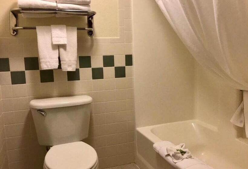 اتاق لوکس با تخت بزرگ, Americinn By Wyndham Rexburg Byui