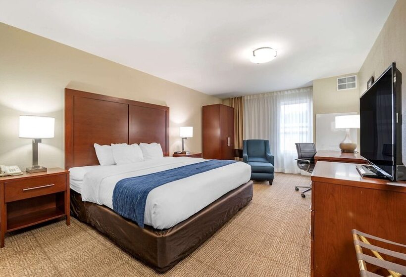 Standard Room Double Bed Adapted for people with reduced mobility, Comfort Inn & Suites Northern Kentucky