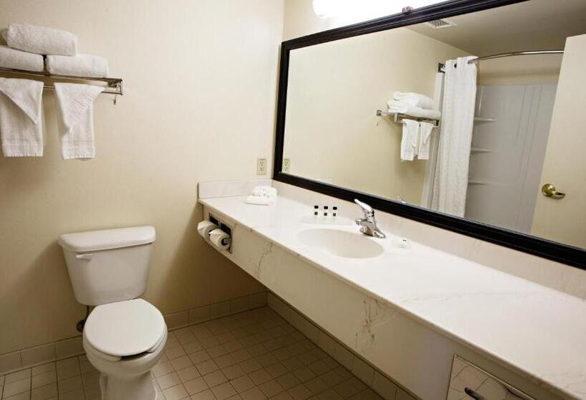 اتاق استاندارد با تخت بزرگ, Country Inn & Suites By Radisson, Harrisburg West Mechanicsburg