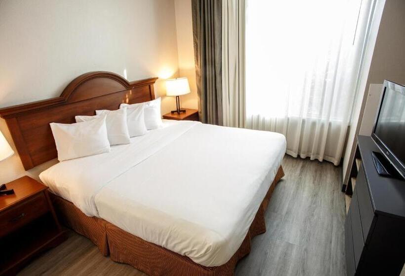 سوئیت با تخت بزرگ, Country Inn & Suites By Radisson, Harrisburg West Mechanicsburg