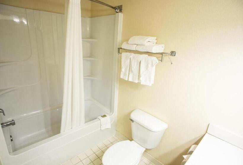 سوئیت با تخت بزرگ, Country Inn & Suites By Radisson, Harrisburg West Mechanicsburg