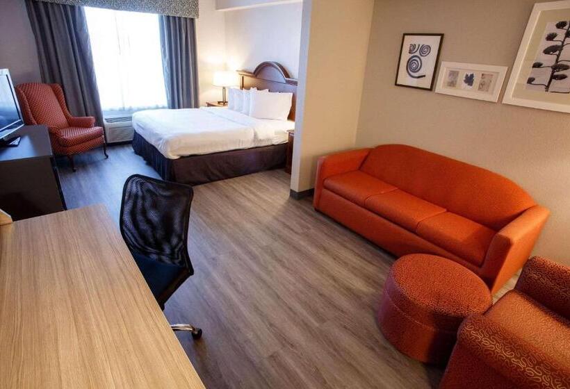 سوئیت با تخت بزرگ, Country Inn & Suites By Radisson, Harrisburg West Mechanicsburg