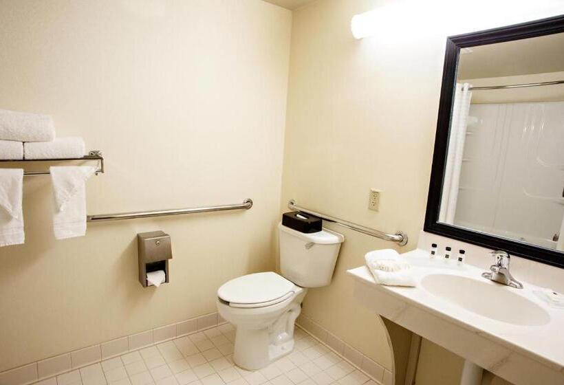 اتاق استاندارد با تخت بزرگ برای معلولان, Country Inn & Suites By Radisson, Harrisburg West Mechanicsburg