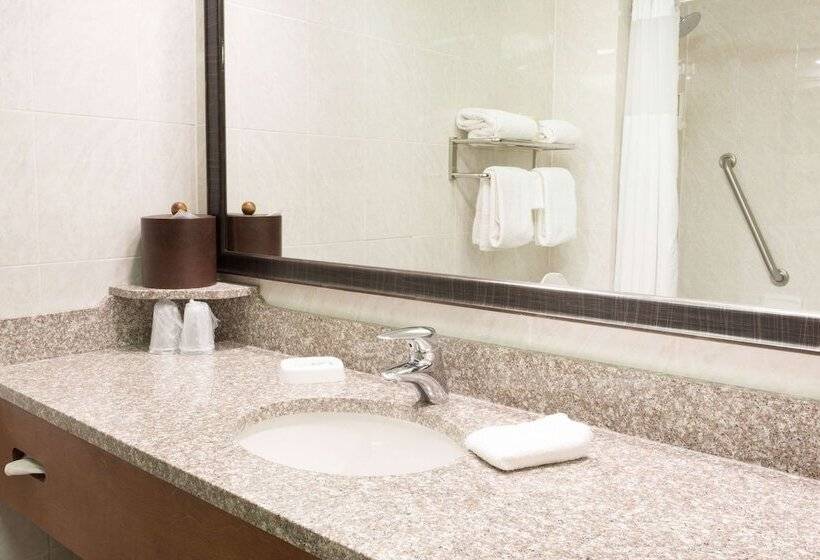 Suite, Drury Inn & Suites Birmingham Lakeshore Drive