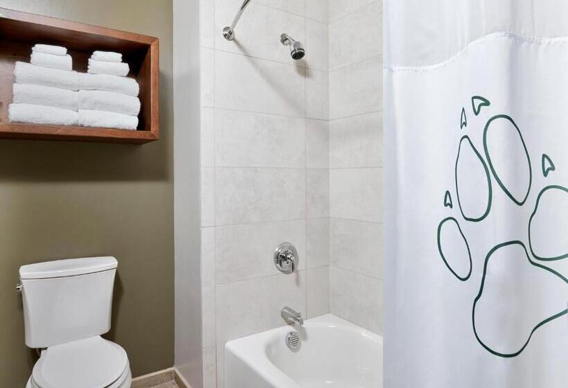 کابین, Great Wolf Lodge Kansas City