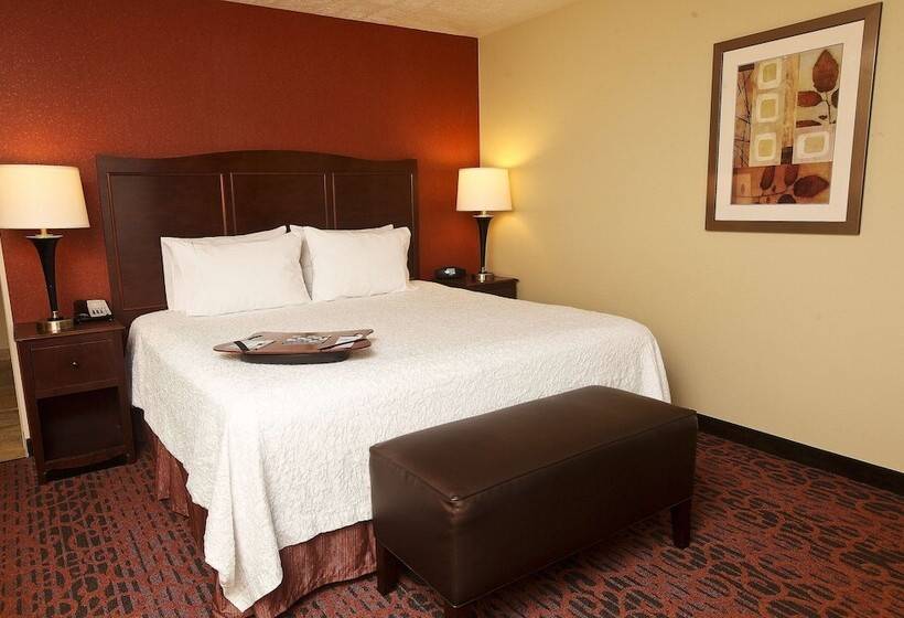 اتاق استاندارد با تخت دوبل برای معلولان, Hampton Inn & Suites Fargo Medical Center
