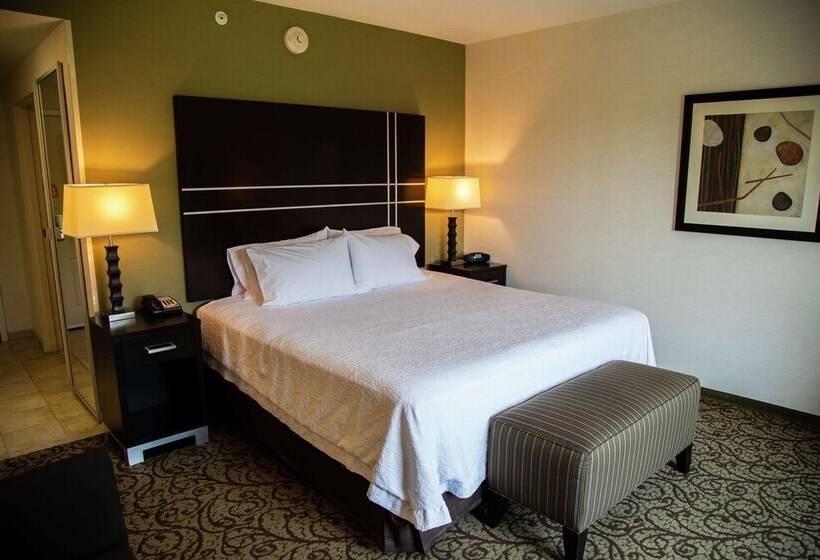اتاق استاندارد با تخت دوبل, Hampton Inn & Suites Sharon