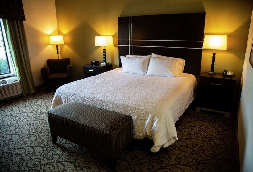 اتاق استاندارد با تخت دوبل برای معلولان, Hampton Inn & Suites Sharon