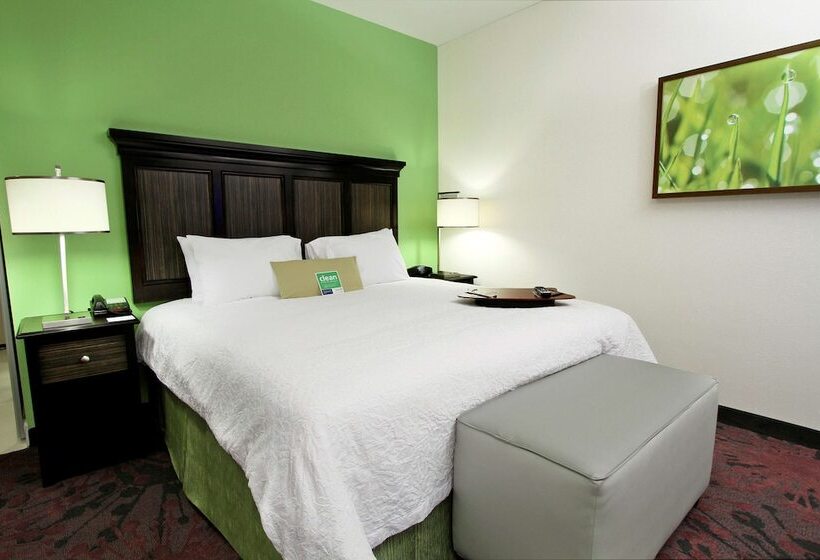 اتاق استاندارد با تخت دوبل, Hampton Inn & Suites Winnie