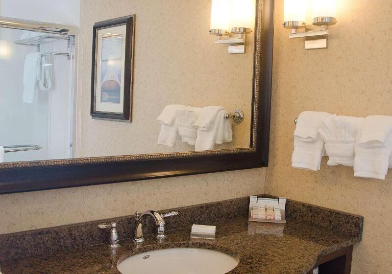 اتاق استاندارد با تخت بزرگ, Hilton Garden Inn Watertown/thousand Islands