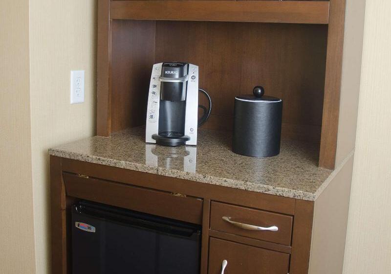 اتاق استاندارد با تخت بزرگ, Hilton Garden Inn Watertown/thousand Islands