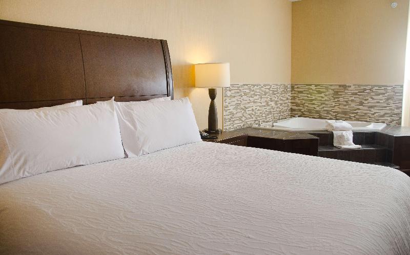 اتاق استاندارد با تخت بزرگ, Hilton Garden Inn Watertown/thousand Islands