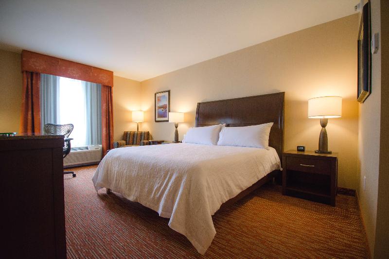 Quarto Estandar Cama King, Hilton Garden Inn Watertown Thousand Islands