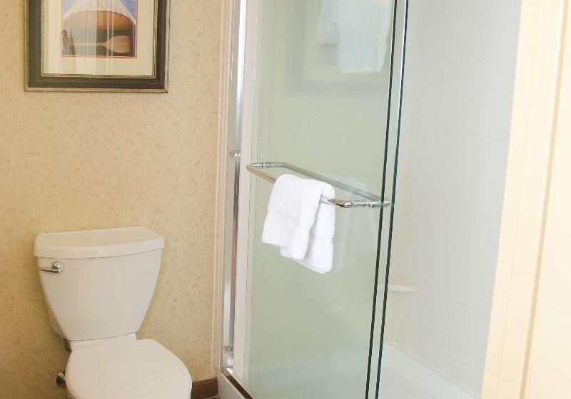 اتاق استاندارد با تخت بزرگ, Hilton Garden Inn Watertown/thousand Islands