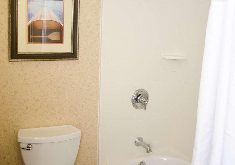 اتاق پرمیوم, Hilton Garden Inn Watertown/thousand Islands