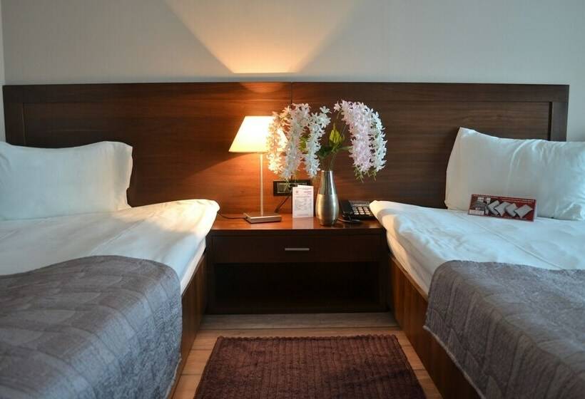 Standard Room, Phoenicia Express