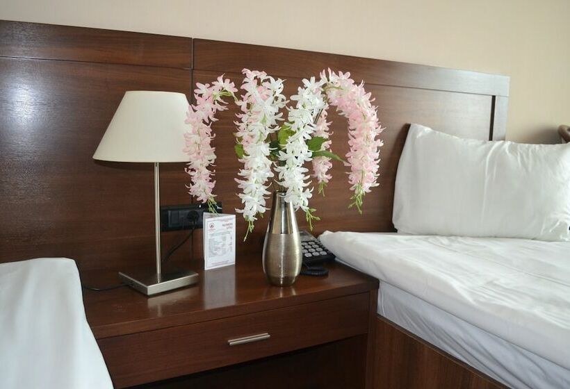 Standard Room, Phoenicia Express