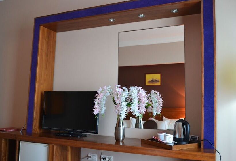 Quarto standard, Phoenicia Express