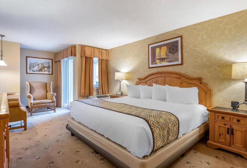 اتاق استاندارد با تخت بزرگ برای معلولان, Meadowmere Resort