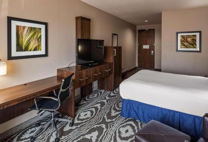 اتاق استاندارد با تخت بزرگ, Best Western Plus Williston Hotel & Suites