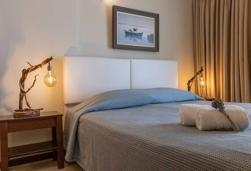 带海景的标准房, Enalio Suites