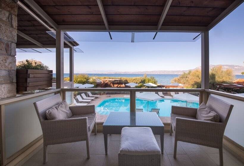 带海景的标准房, Enalio Suites