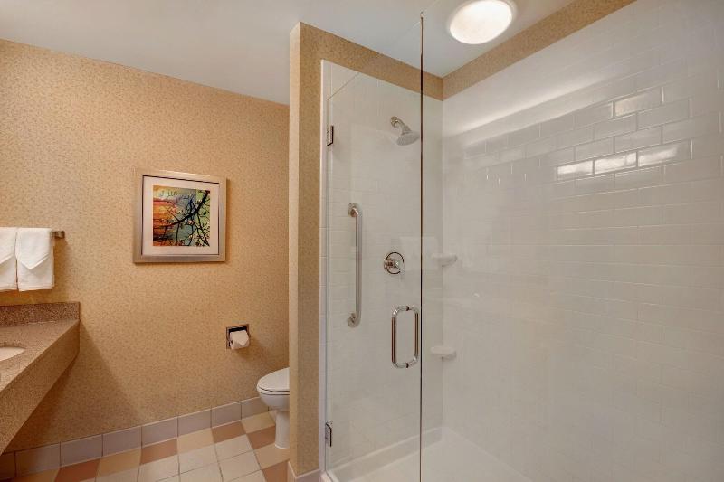 استودیو استاندارد با تخت کینگ, Fairfield Inn & Suites By Marriott Detroit Metro Airport Romulus