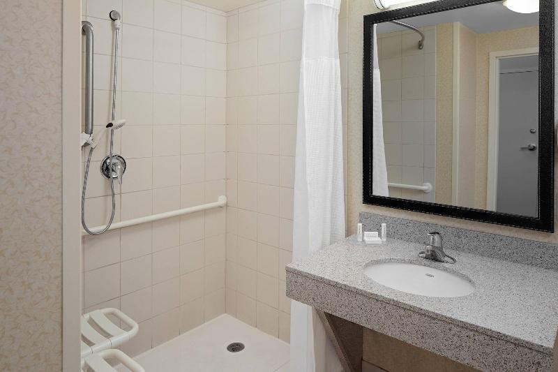 استودیو استاندارد با تخت کینگ, Fairfield Inn & Suites By Marriott Detroit Metro Airport Romulus