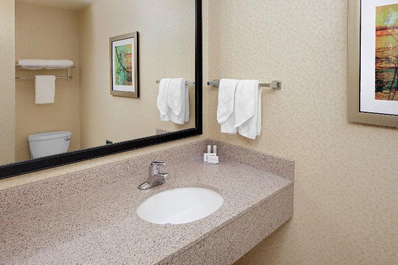استودیو استاندارد با تخت کینگ, Fairfield Inn & Suites By Marriott Detroit Metro Airport Romulus