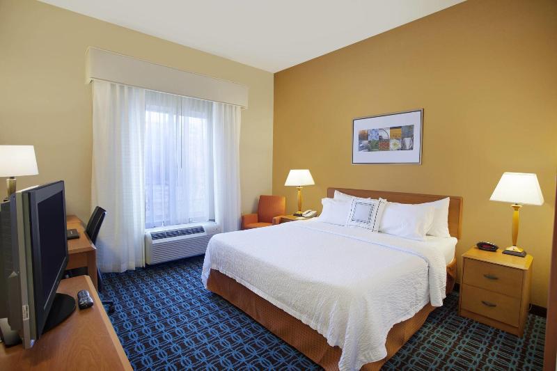 اتاق استاندارد با تخت بزرگ, Fairfield Inn & Suites By Marriott Detroit Metro Airport Romulus
