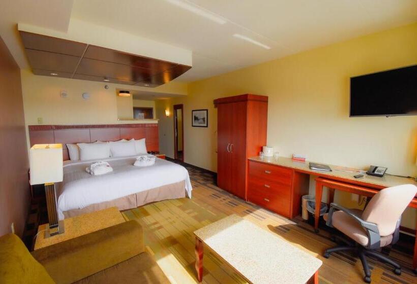 Executive Single Room, Canad Inns Destination Center Grand Forks