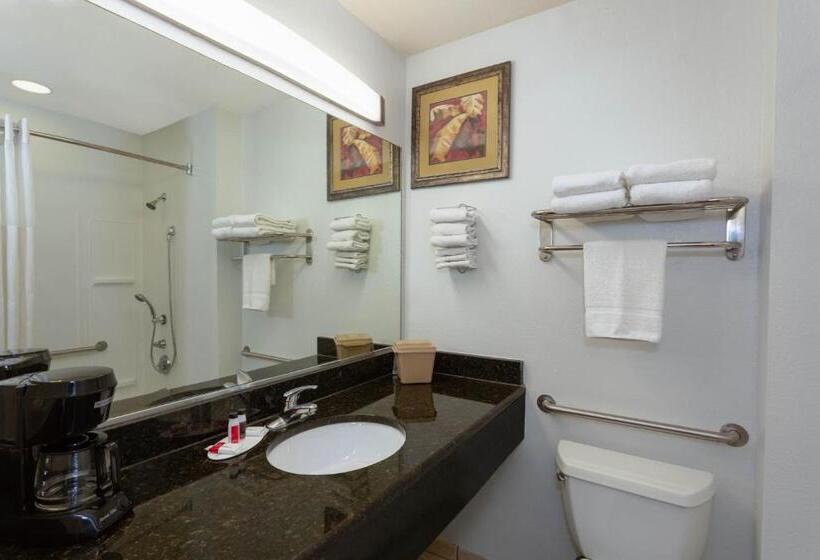 اتاق استاندارد با تخت بزرگ برای معلولان, Days Inn & Suites By Wyndham Lakeland