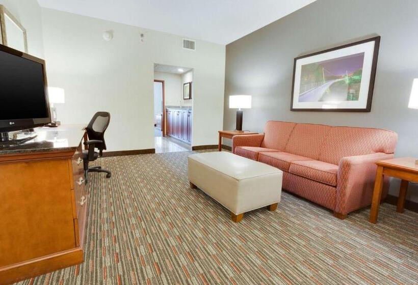 Suite Cama King, Drury Inn & Suites Greenville