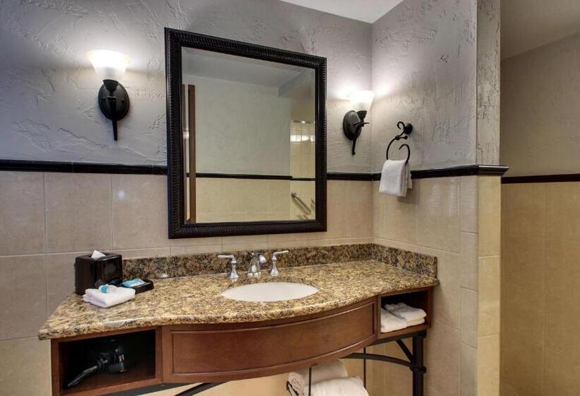 Quarto deluxe, Drury Plaza  San Antonio Riverwalk