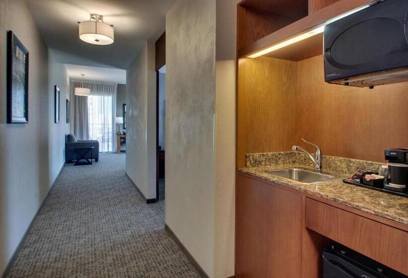 سوئیت با بالکن, Drury Plaza Hotel San Antonio Riverwalk